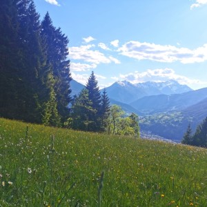 Bergwiese in der Nähe von Landeck im Tiroler Oberland