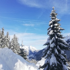 Verschneiter Fichtenwald im Skigebiet Oberinntal