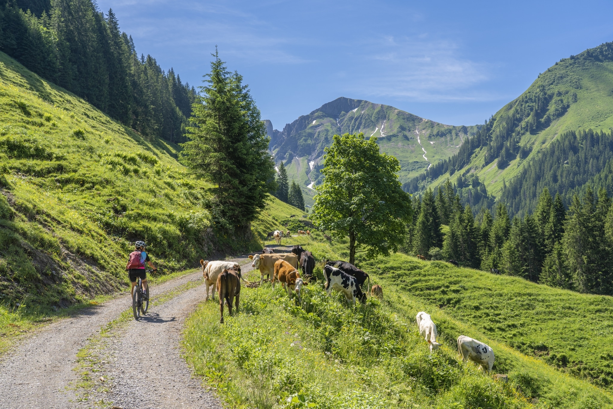 Das Hotel Schrofenstein in Landeck ist der perfekte Zwischenstopp bei Ihrer Radtour durch Tirol