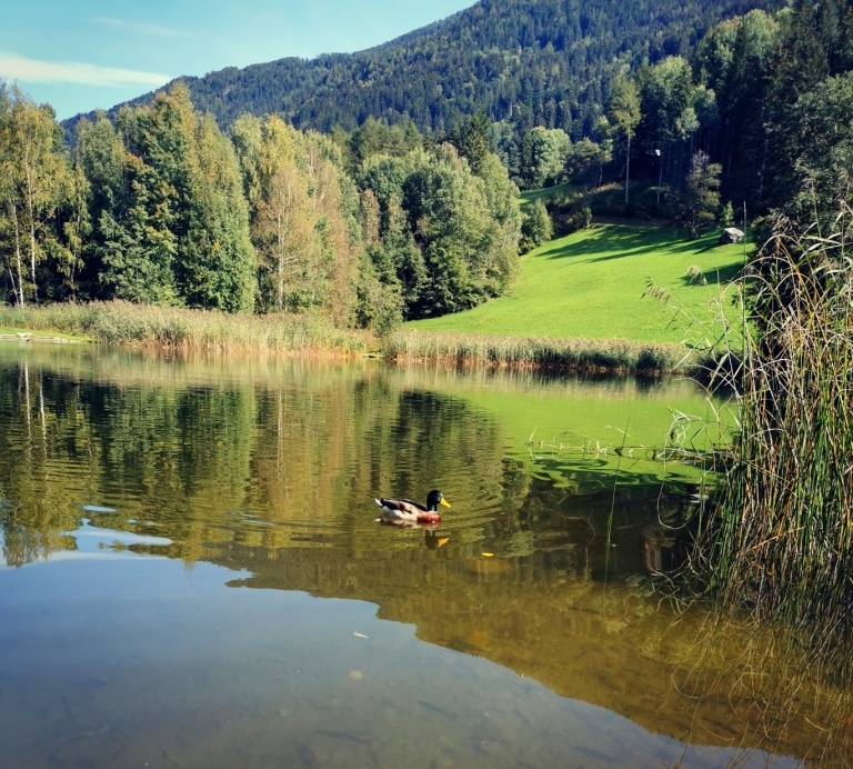 Der Tramser Weiher ist ein Geheimtipp für Wanderer im Tiroler Oberland