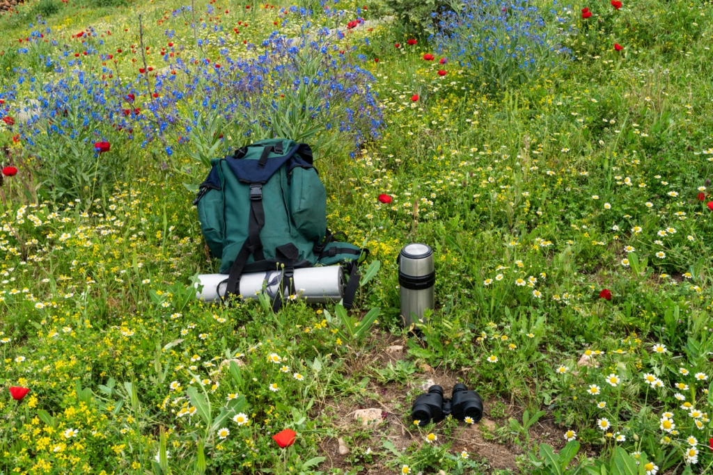 Ein grüner Rucksack auf einer Blumenwiese