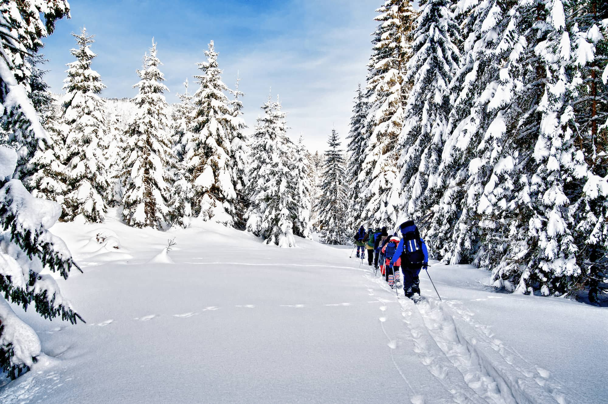 Gruppe beim Schneeschuhwandern in Landeck